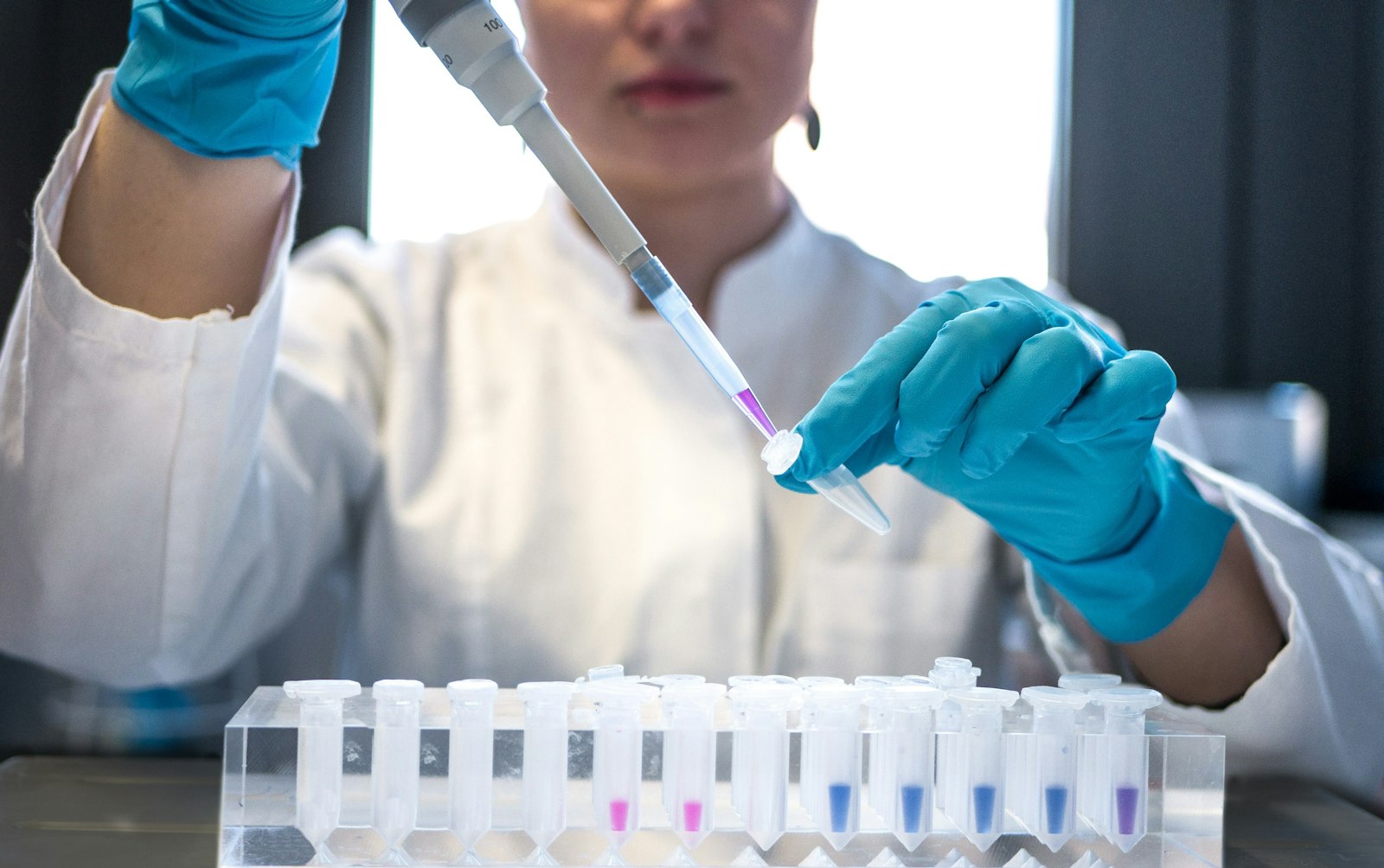 A scientist pipetting samples into test tubes